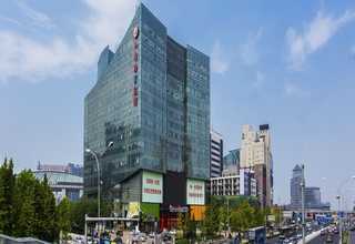 马鞭草精油功效